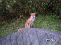 s_PICT0154s.png